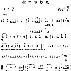 邓丽君演唱金曲 你在我梦里_通俗唱法乐谱_词曲:庄奴 日 野崎真一
