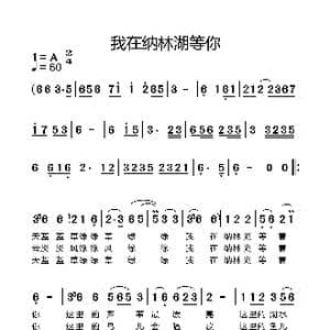 我在纳林湖等你_歌谱投稿