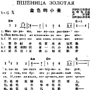 金色的小麦 前苏联 _外国歌谱_词曲:伊萨科夫斯基作词 卢双译配 勃朗切尔