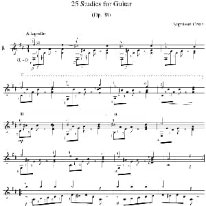 Napoleon Coste 25 Studies,Op.38 吉他谱