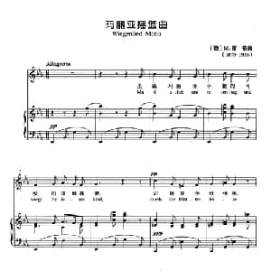 玛丽亚摇篮曲 德国 _外国歌谱_词曲: 德 M.雷格
