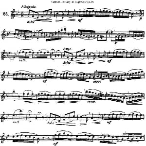 长笛曲谱 | 三十首基础及提高练习曲 NO.24 Garibold 加里波第