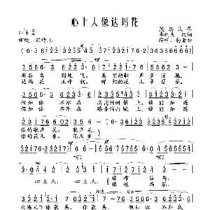 心上人像达玛花_歌谱投稿_词曲:李刚夫改词 薛明 杨青