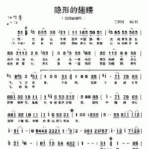 隐形的翅膀_通俗唱法乐谱_词曲:王雅君 王雅君