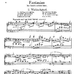 Fantasien über Gedichte von Richard Dehmel Op.9 钢琴谱 亚历山大 封 泽姆林斯基 Alexander von Zemlinsky
