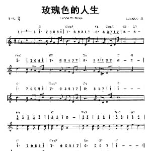 口琴谱 | 玫瑰色的人生 线简谱混排版