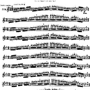 长笛曲谱 | 瑞澈特七首每日长笛练习曲Op.5 NO.6 Reichert 瑞澈特