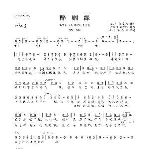醉姻缘_歌曲简谱_词曲:高洁 张国跃 俞伶佳 张国跃