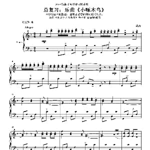 手风琴谱 | 小啄木鸟 涛涛制谱版