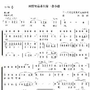 田野莫非只有一条小路_歌谱投稿