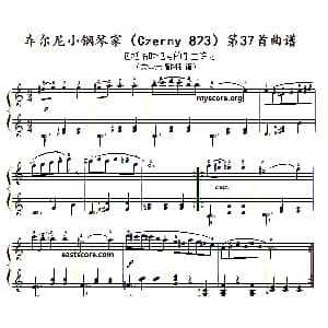 车尔尼 小钢琴家 钢琴谱