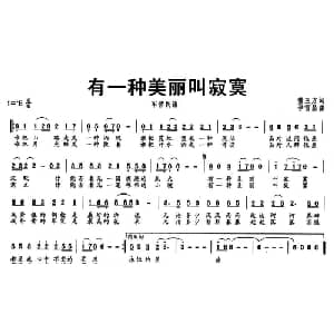 有一种美丽叫寂寞_通俗唱法乐谱_词曲:董玉方 李雪晶
