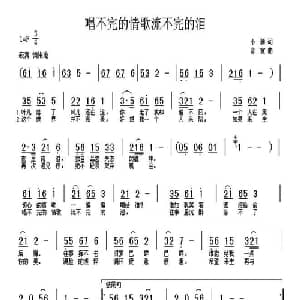 唱不完的情歌流不完的泪_通俗唱法乐谱_词曲:小雅 音宣