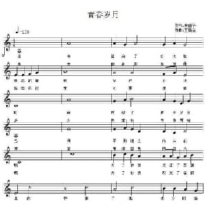 青春岁月_通俗唱法乐谱_词曲:米鹏华 王晨溢