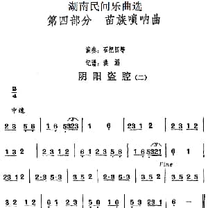 阴阳盗腔 二 湖南民间乐曲选 洪滔记谱