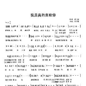 我是真的喜欢你_通俗唱法乐谱_词曲:曹中新 赵勇德
