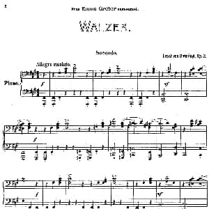 Walzer Op.3 4 hands 钢琴谱 厄恩斯特 凡 多南依
