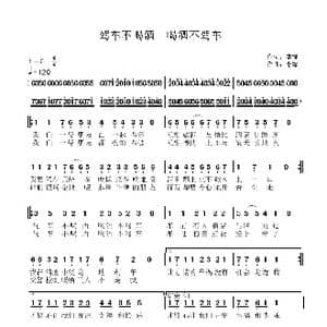 驾车不喝酒 喝酒不驾车_歌谱投稿_词曲:李锋 李锋