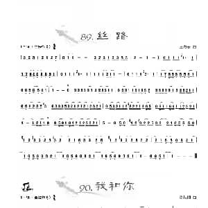 葫芦丝谱 | 葫芦丝曲精选 丝路 我和你 王甲坤 王甲华编著