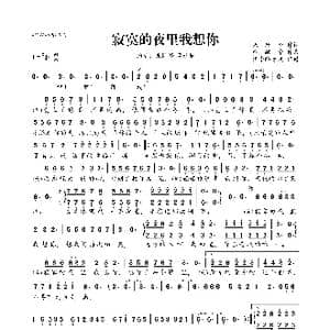 寂寞的夜里我想你_歌曲简谱_词曲:朱险峰 蔡献华