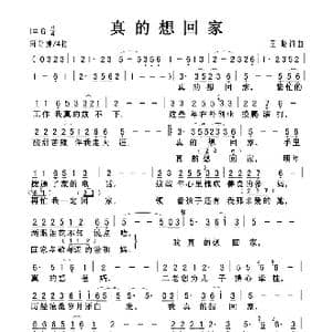 真的想回家_歌曲简谱_词曲:王晓 王晓