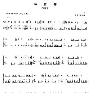 二胡谱 | 昭君怨 扬琴伴奏谱 古曲 刘月宁配伴奏