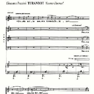 今夜无人入眠 意大利 _外国歌谱