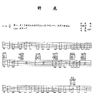 野花 吉他谱 田震 田震 刘利君曲 王鹰 马鸿