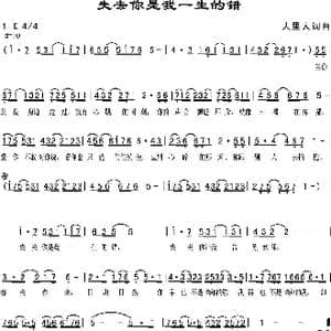 失去你是我一生的错_歌曲简谱_词曲:人里人 人里人