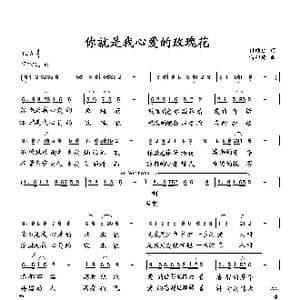 你就是我心爱的玫瑰花_歌曲简谱_词曲:付顺生 向邦瑜