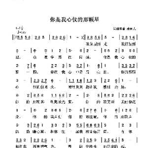你是我心仪的那颗星_歌谱投稿_词曲:清闲人 清闲人