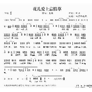 花儿爱上忘情草_歌谱投稿_词曲:胡力 胡力
