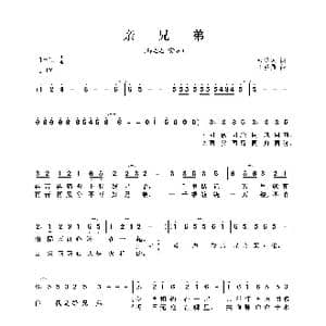 亲兄弟_歌曲简谱_词曲:张俊以 丁留强