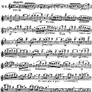 长笛曲谱 | 二十首练习曲作品131号 NO.2 Garibold 加里波第