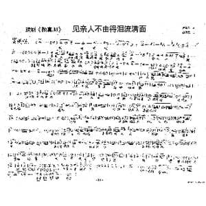 窦瑛:见亲人不由得泪流满面_歌谱投稿_词曲:史善新 赵万里