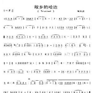 故乡的哈达_歌曲简谱