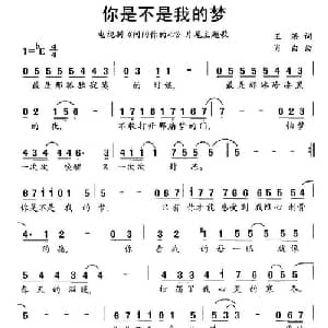 你是不是我的梦_通俗唱法乐谱_词曲:王浩 肖白