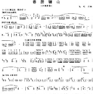 春游骊山 玉埙独奏 高明