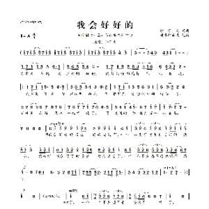 ​我会好好的_歌曲简谱_词曲:印子月 印子月