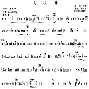 鸟投林 甘尚时高胡演奏谱 居文郁记谱整理版 易剑泉曲 居文郁记谱整理