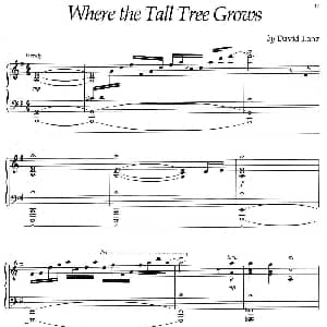 Where The Tall Tree Grows 钢琴谱 美 大卫 兰兹 David Lanz