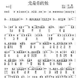 龙是你的姓_通俗唱法乐谱_词曲:天 夏 吴泗滨