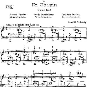 53首改编练习曲 钢琴谱 里奥鲍尔德 戈多夫斯基