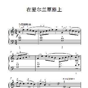 在爱尔兰草原上 钢琴谱