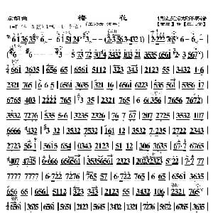 梅花 京胡曲 恒流星制谱版 恒流星胡琴伴奏谱