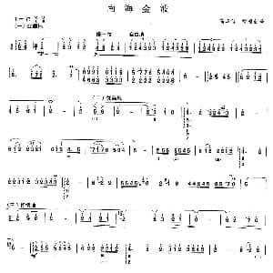 柳琴考级曲目五级 南海金波