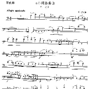 a小调协奏曲 第一乐章 大提琴 Q 里定