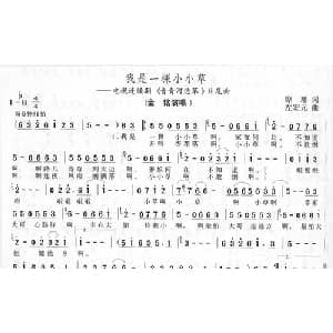 我是一棵小小草_通俗唱法乐谱_词曲:琼瑶 左宏元