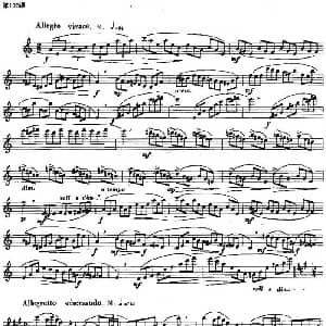 长笛曲谱 | 长笛练习曲100课之第100课 综合练习曲