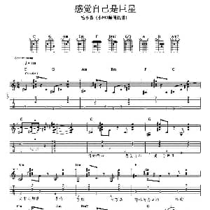 感觉自己是巨星 吉他谱 毛不易 小NO师傅记谱